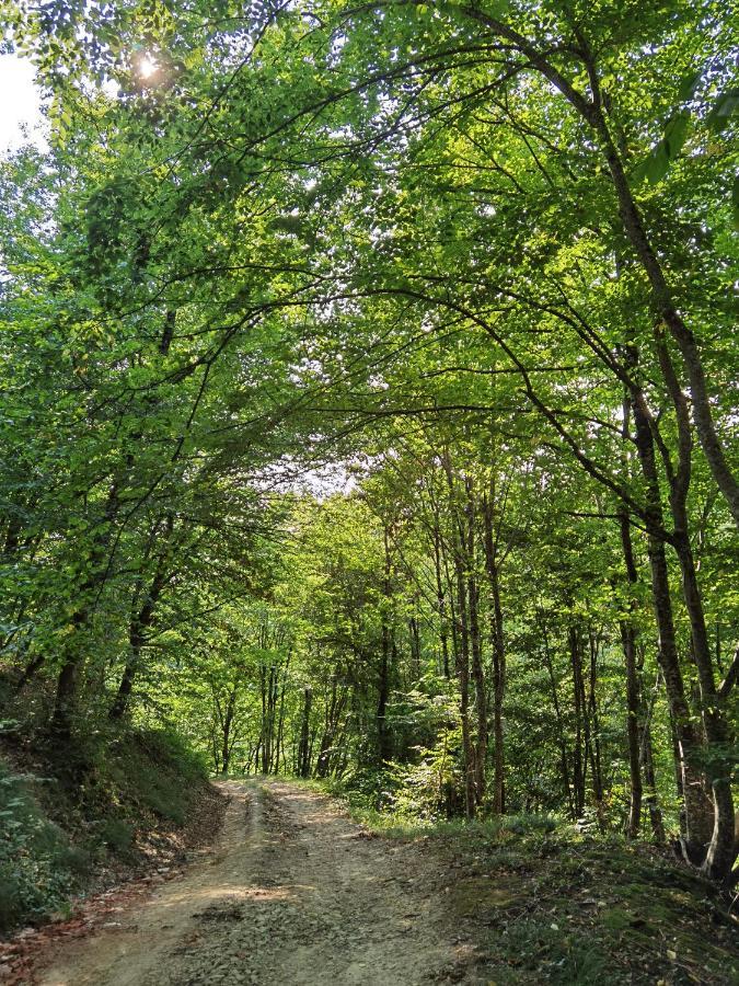 Les Hauts De Grazac, Chambres Et Tables D'Hotes Grazac  Екстер'єр фото